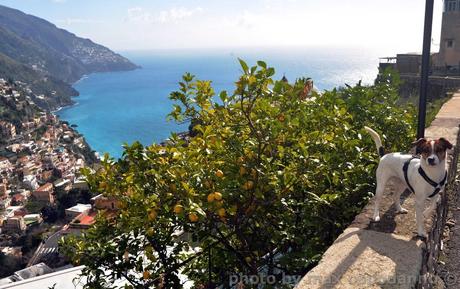 POSITANO e le sue scale ....