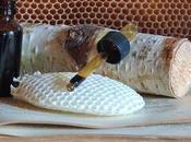 Oggi nella rubrica: indagine sulla Propolis, come utilizzarla