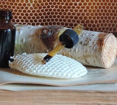 Oggi nella mai rubrica: indagine sulla Propolis, come utilizzarla