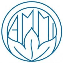 logo_ammi_