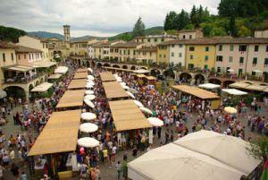 Greve in Chianti - Firenze