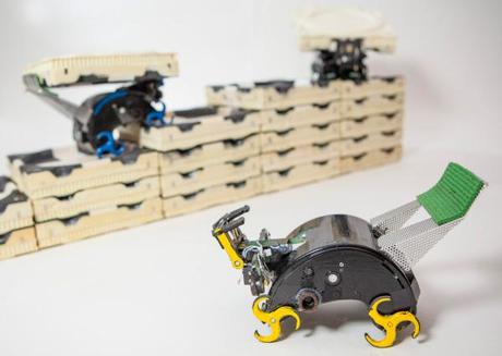 Harvad: sviluppati Robot Termiti costruttrici in autonomia