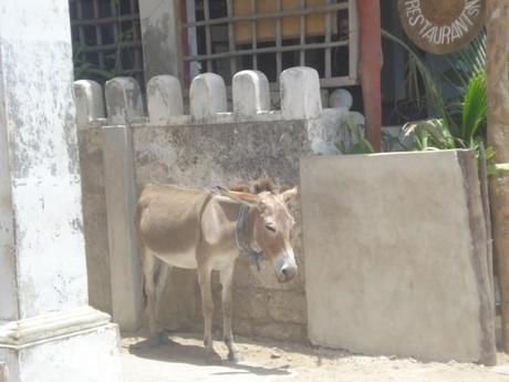 Lamu, Kenya