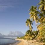 2. Puerto Rico: temperature che variano dai 23 ai 29 gradi, palme a volontà e sabbia bianca finissima. Ecco le caratteristiche di questo posto da sogno.