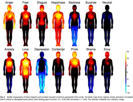 emozioni corpo 2