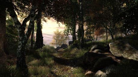 Un'immagine e due brevi video inediti per The Vanishing of Ethan Carter