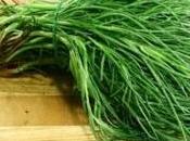 Barba frate saporita