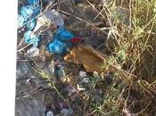 solo discarica, anche sversamenti abusivi ormai sotto Ponte Marconi. Situazione fuori controllo, sempre