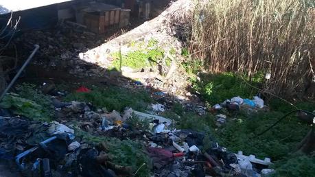 Non solo discarica, ma anche sversamenti abusivi ormai sotto a Ponte Marconi. Situazione fuori controllo, sempre di più