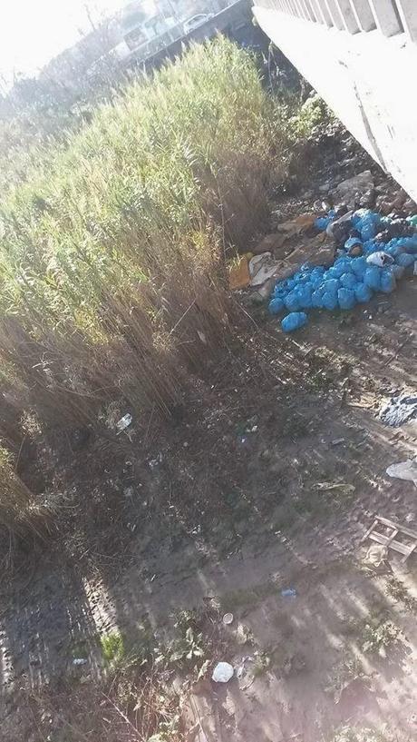 Non solo discarica, ma anche sversamenti abusivi ormai sotto a Ponte Marconi. Situazione fuori controllo, sempre di più