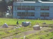 Cresce campo abusivo Cinecittà Est. degrado roghi