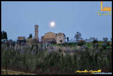 la luna, i cipressi ed il volo dei colombi