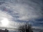 meteorologi sanno come confondere gente riguardo alle scie vedono ormai coprire l'intero cielo