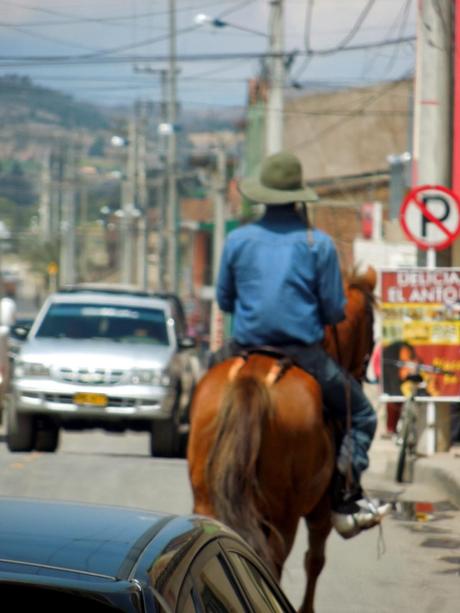 direzione nord: soste di strada