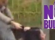 cretinetti platea plaudente.