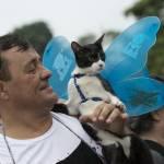 “Blocao”, il Carnevale dei cani di Rio de Janeiro (foto)