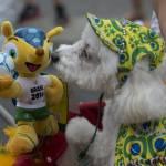 “Blocao”, il Carnevale dei cani di Rio de Janeiro (foto)