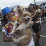 “Blocao”, il Carnevale dei cani di Rio de Janeiro (foto)