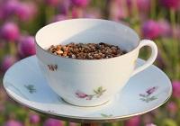 gira-girello-tazzina