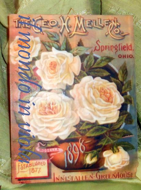Vecchi cataloghi di fiori e sementi