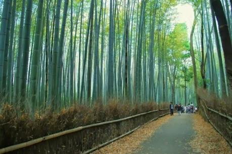 Passeggiando attraverso l'immaginazione