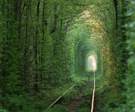 Passeggiando attraverso l'immaginazione