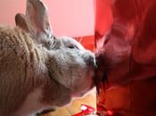 Someone loves Cartier...