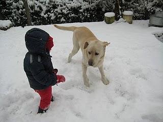 Il bambino, il cane e la neve