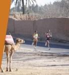 22a Maratona Internazionale di Marrakech.