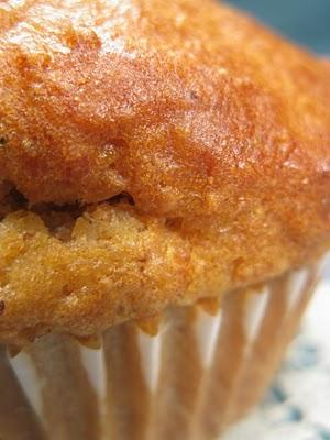 Yogurt and honey muffin