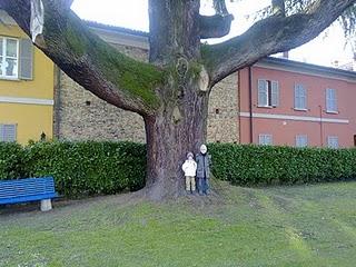 PUBBLICA  MENTE ovvero PICCOLO E' BELLO