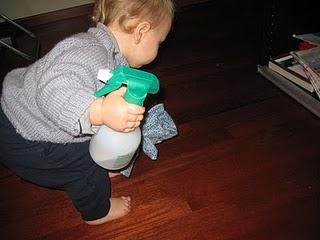 La passione per le pulizie