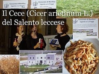 Il Cece (Cicer arietinum L.) del Salento leccese