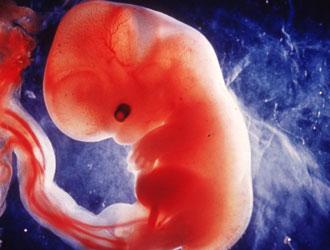 Sconfiggere la malattie genetiche con lo screening prenatale: arriva il test per 400 malattie ereditarie