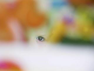 SFUOCARE SFUMARE EVAPORARE