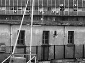 figli marinai