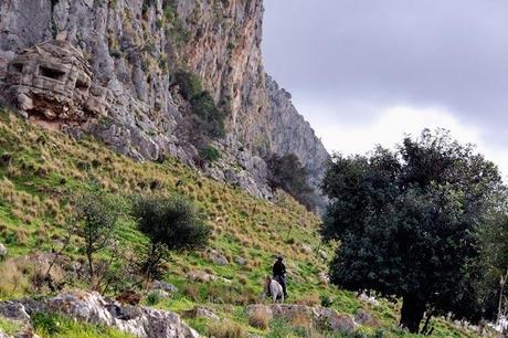 Metti una passeggiata a Monte Pellegrino