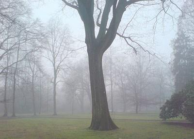 La nebbia inglese (e io)