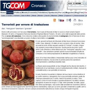 Terroristi per errore di traduzione