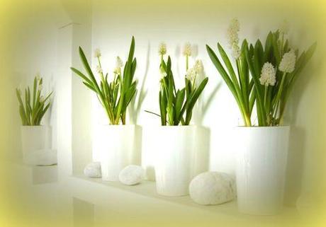 FLORAL DESIGN & ELEGANCE INTERIORS