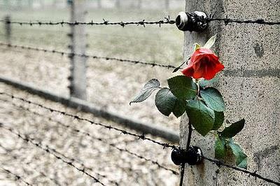 Shoah: la nostra lingua manca di parole per esprimere questa offesa