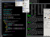 (Joe's Window Manager) desktop environment sistemi Linux.