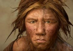 Sei un po’ Neanderthal? Scoprilo così!