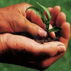 Finanziamenti agricoli: Emilia Romagna offre prestiti per imprese agricole
