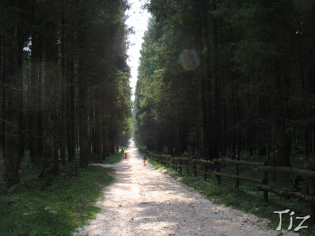 Epidurale. La mèta e la strada.