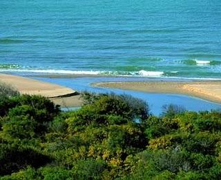 Riserva naturale Foce del fiume Platani