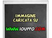 Nexus Italia Febbraio!