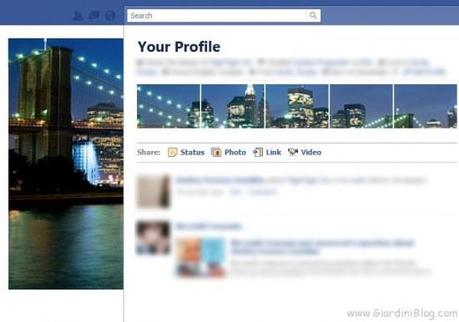 preview profilo facebook