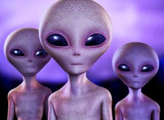 razze aliene civiltà extraterrestri federico bellini ambra guerrucci risveglio edizioni