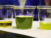 Extravergine? Piacere! Corsi brevi introduzione alla conoscenza all’assaggio dell’olio oliva.